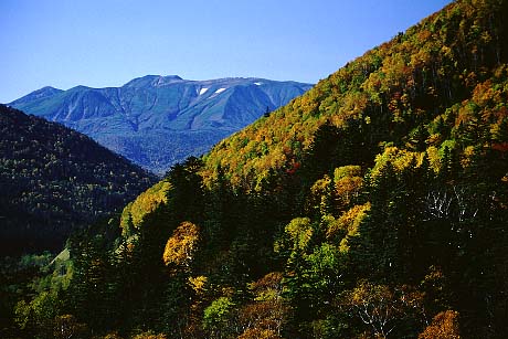 mountains in the fall.gif