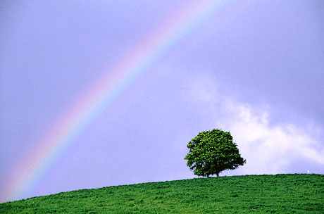 Rainbow in Hokkaido.gif